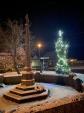 Image: Christmas Tree by Night