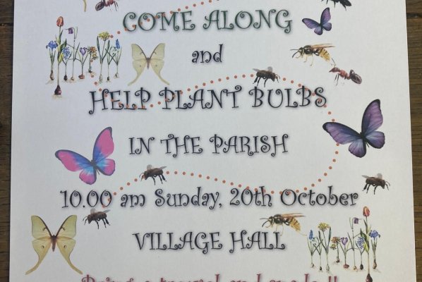 Come and Plant Some Bulbs and Help the Pollinators this Sunday!